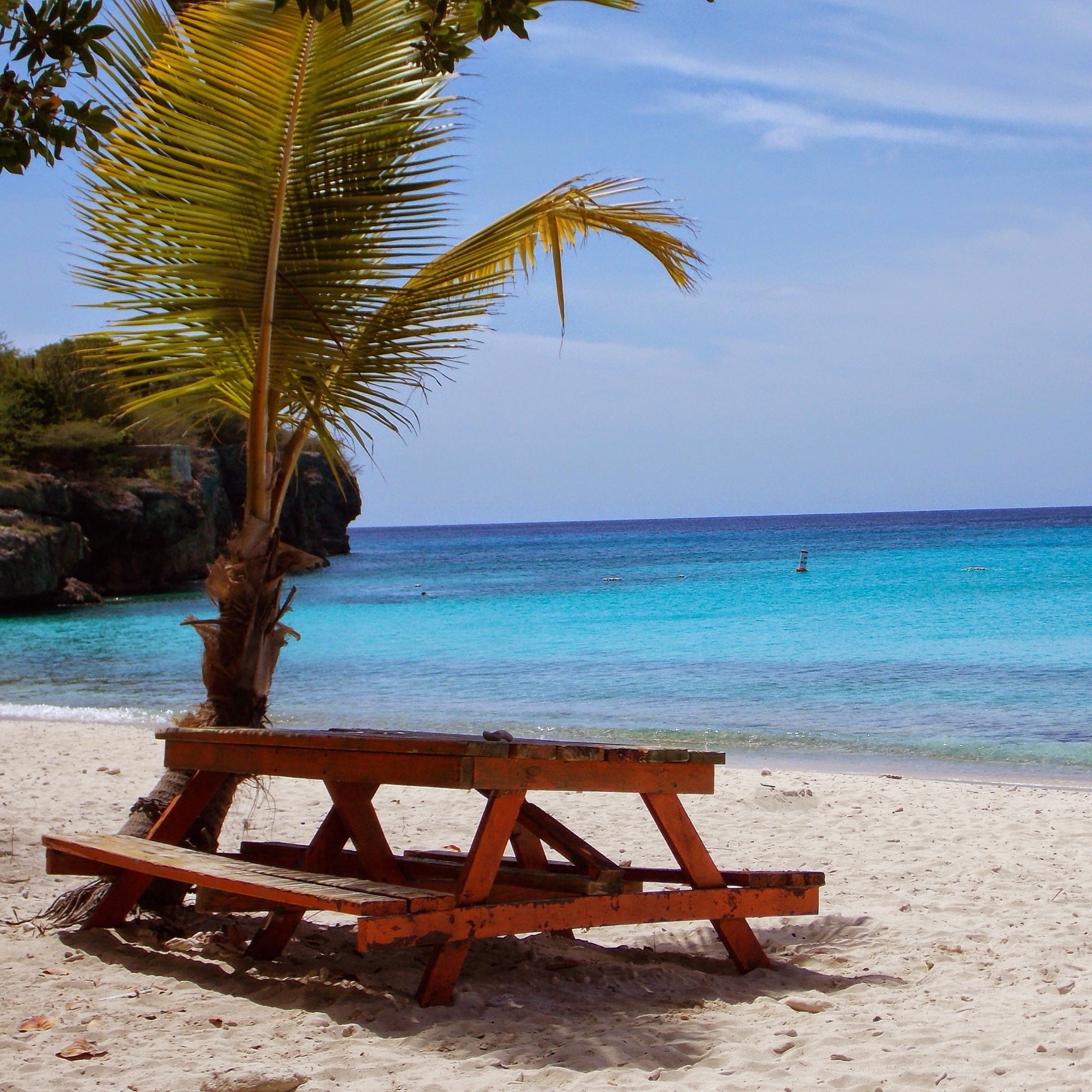 A quiet white-sand Curaçao beach with a palm tree, picnic table and turquoise sea